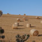 Sommer in der Eifel