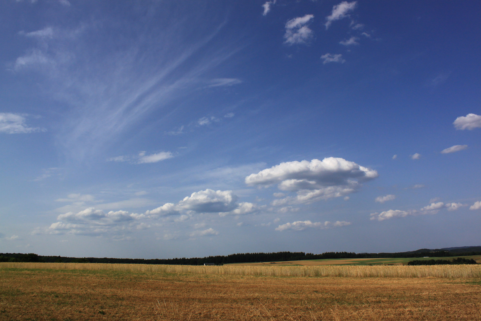 Sommer in der Eifel