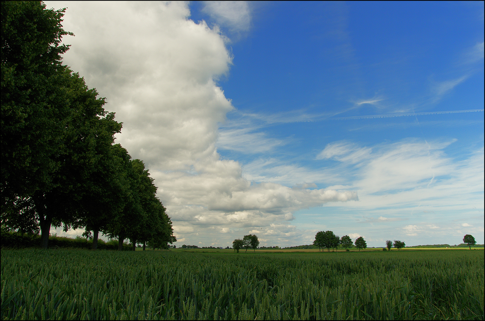 Sommer in der Heimat