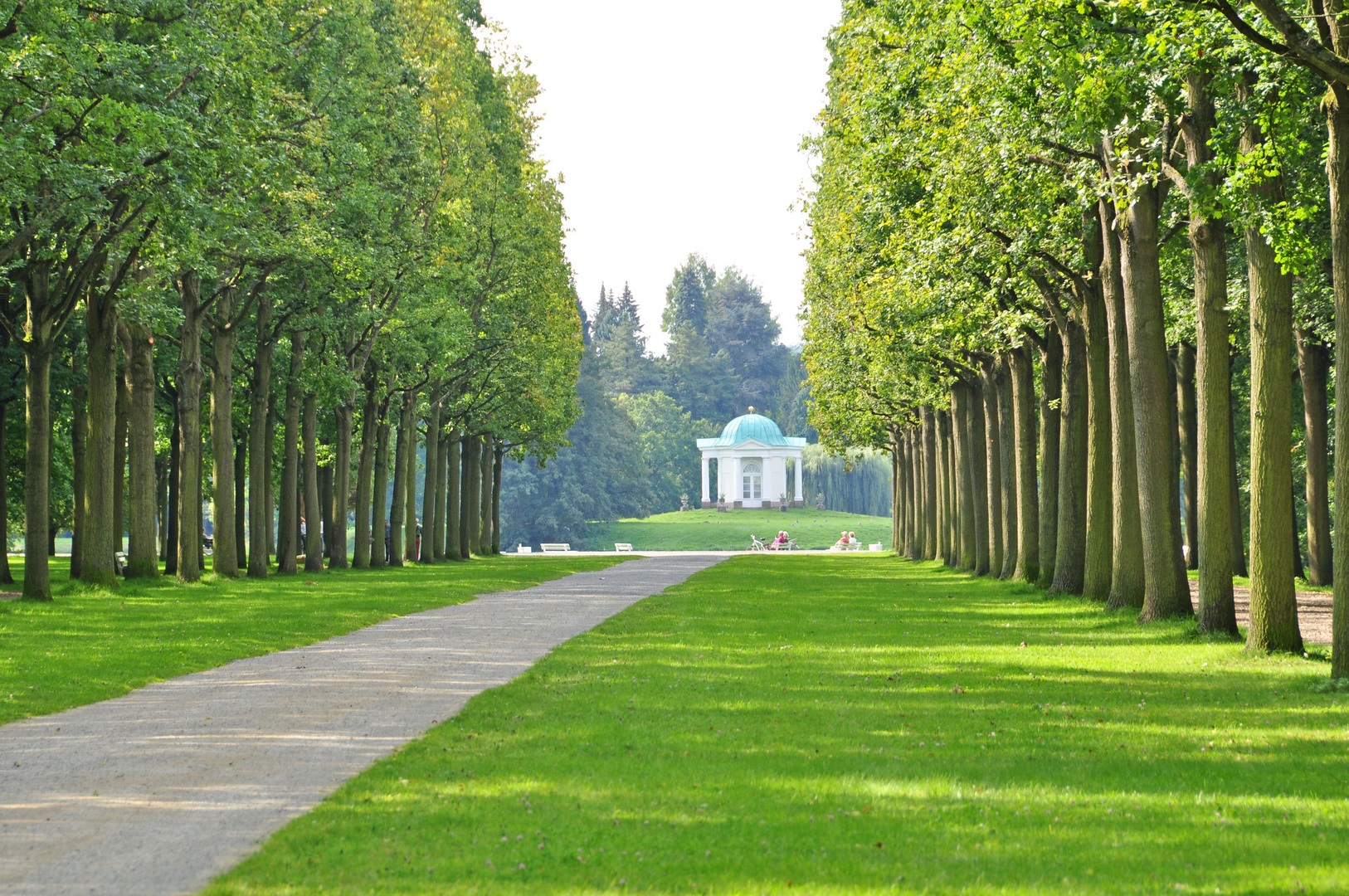 Sommer in der Karlsaue