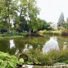 Sommer in der Kölner Flora