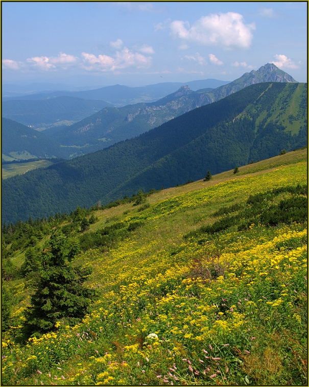 Sommer in der Krivánska Fatra