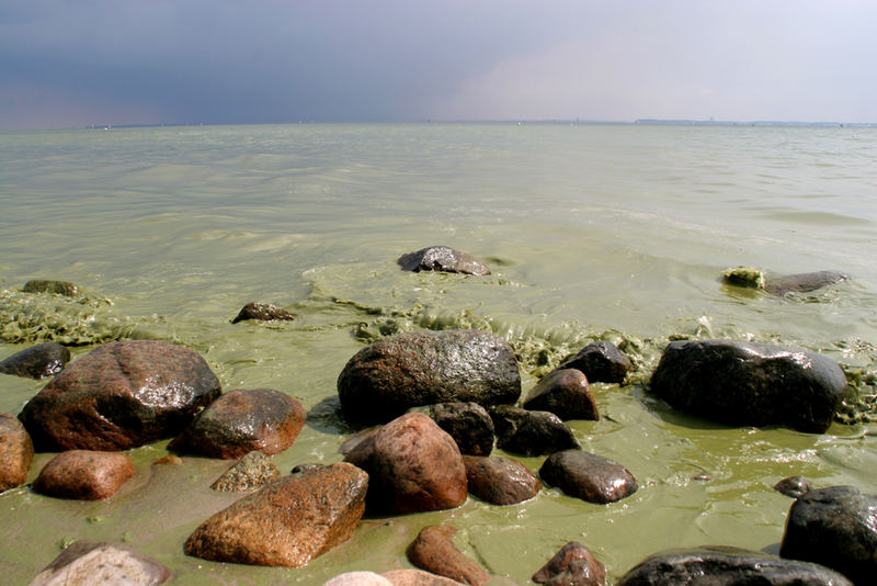 Sommer in der Lübecker Bucht !