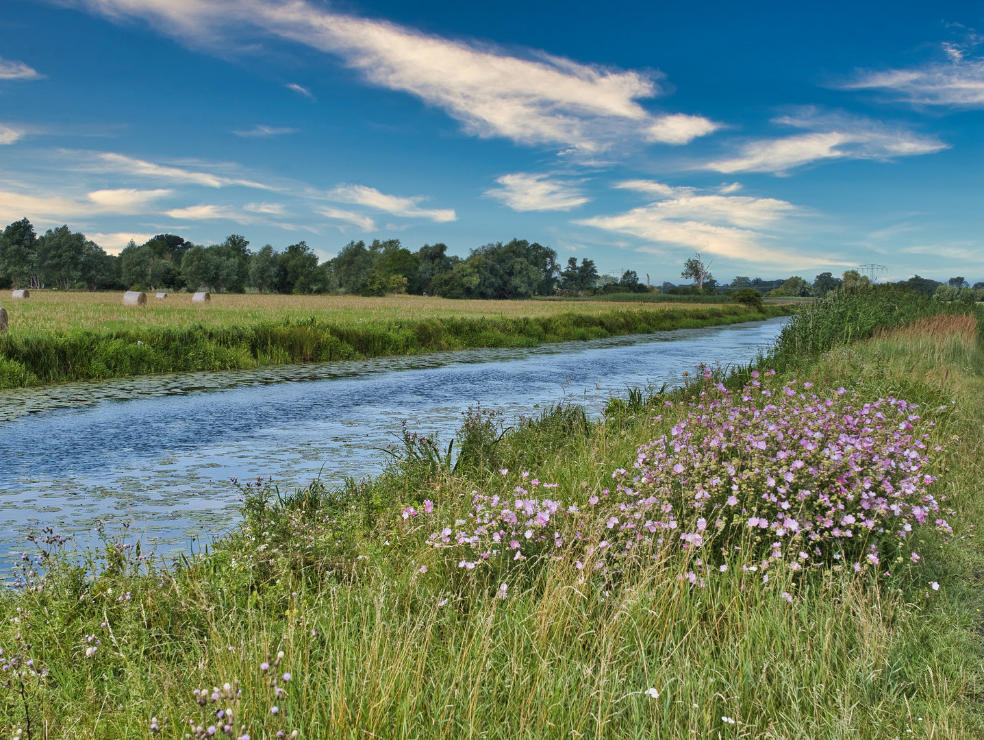 Sommer in der Prignitz 2