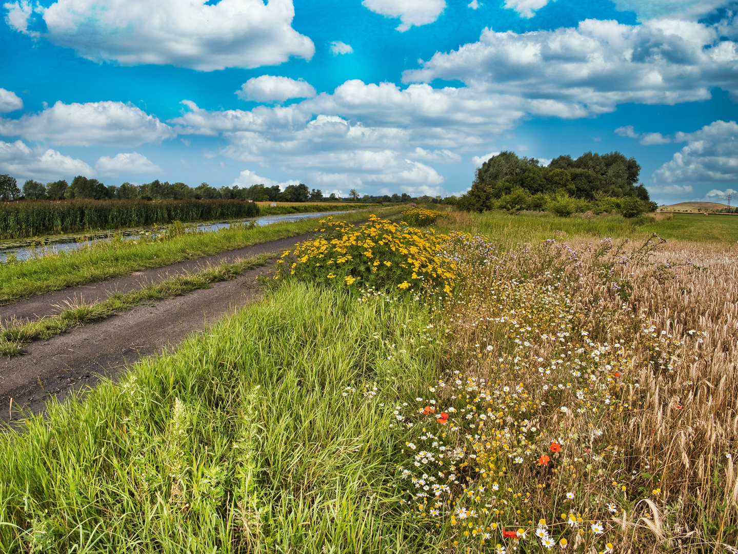 Sommer in der Prignitz