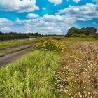 Sommer in der Prignitz