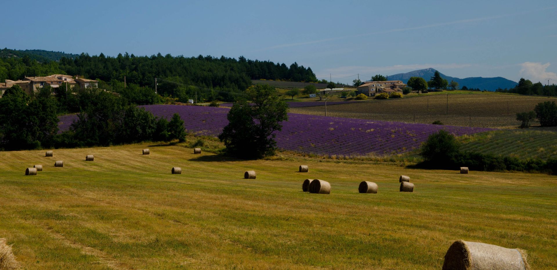 Sommer in der Provence