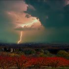 Sommer in der Provence