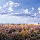 Sommer in der Provence