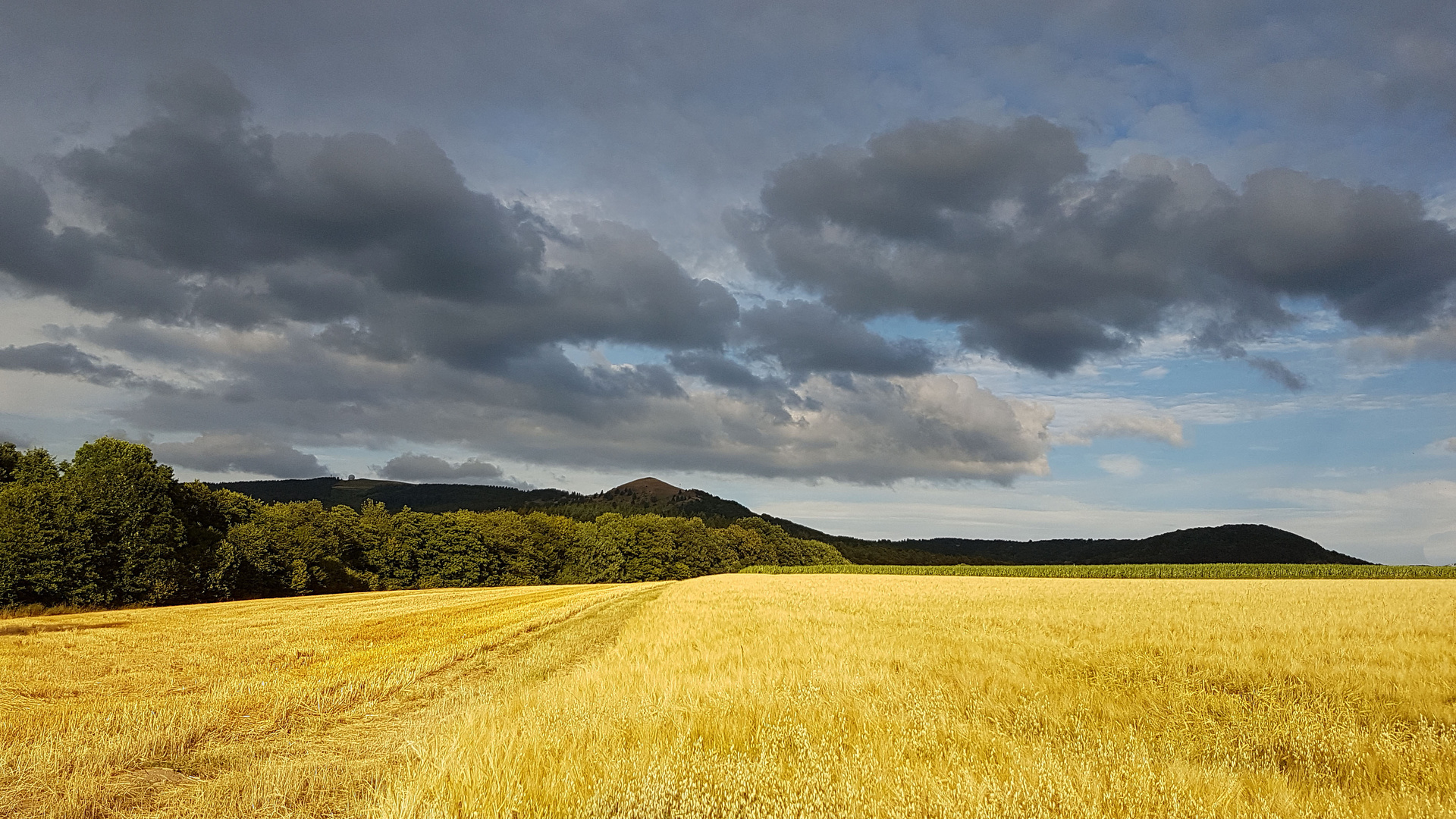 Sommer in der Rhön