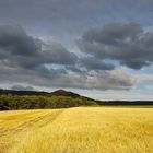 Sommer in der Rhön