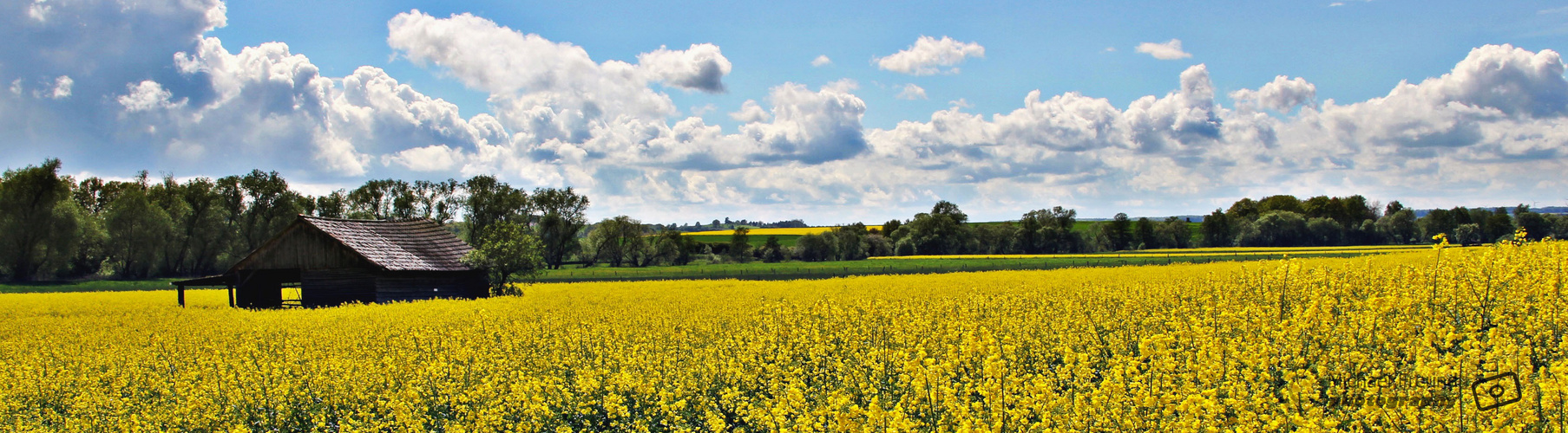 Sommer in der Schwalm