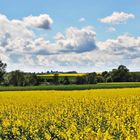 Sommer in der Schwalm