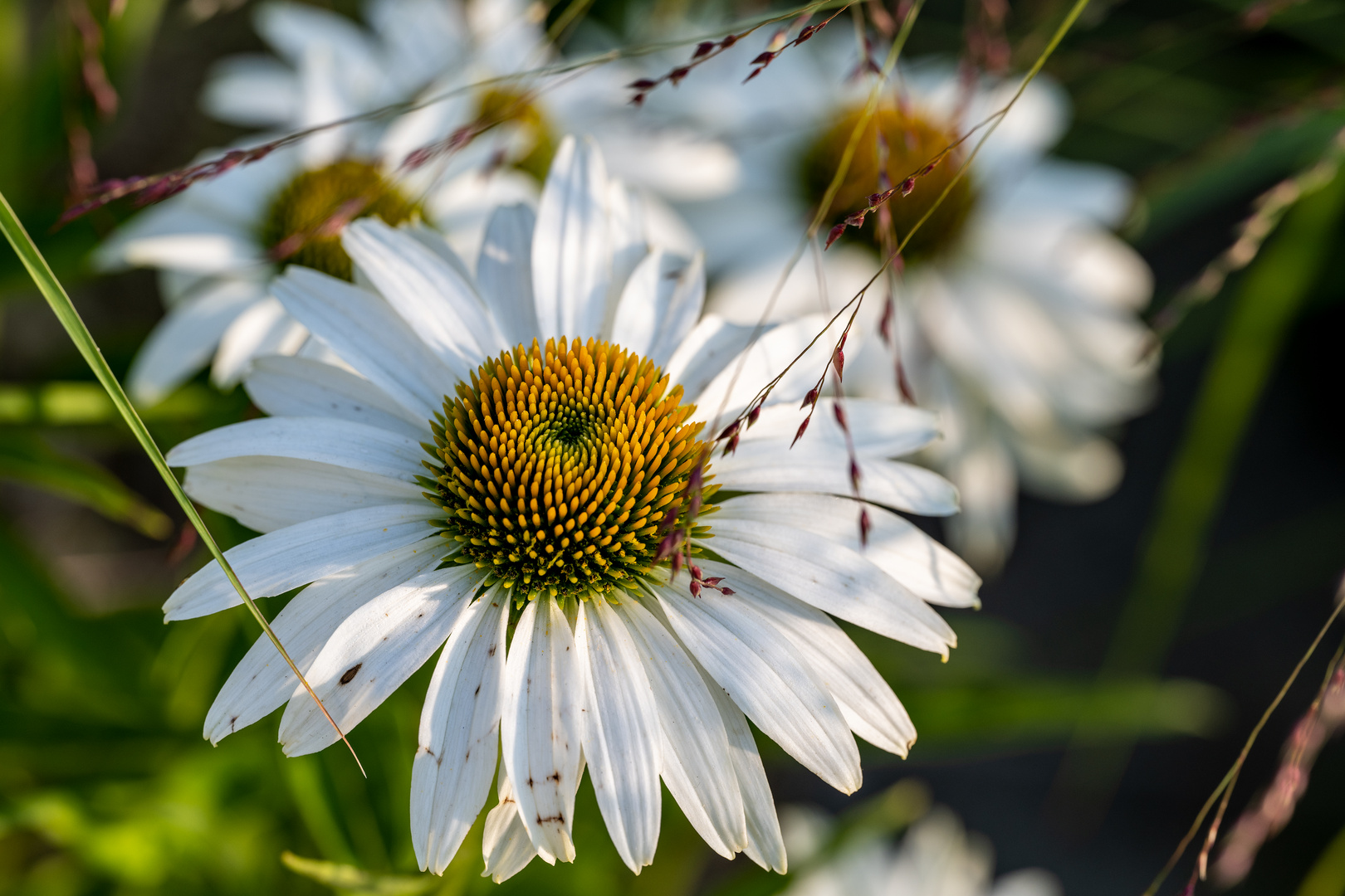 Sommer in der Stadt 07