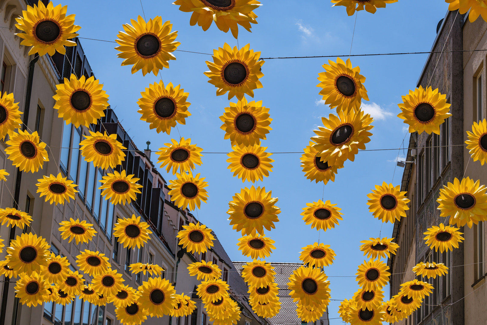 Sommer in der Stadt 2