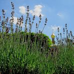 Sommer in der Stadt