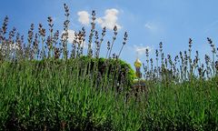 Sommer in der Stadt