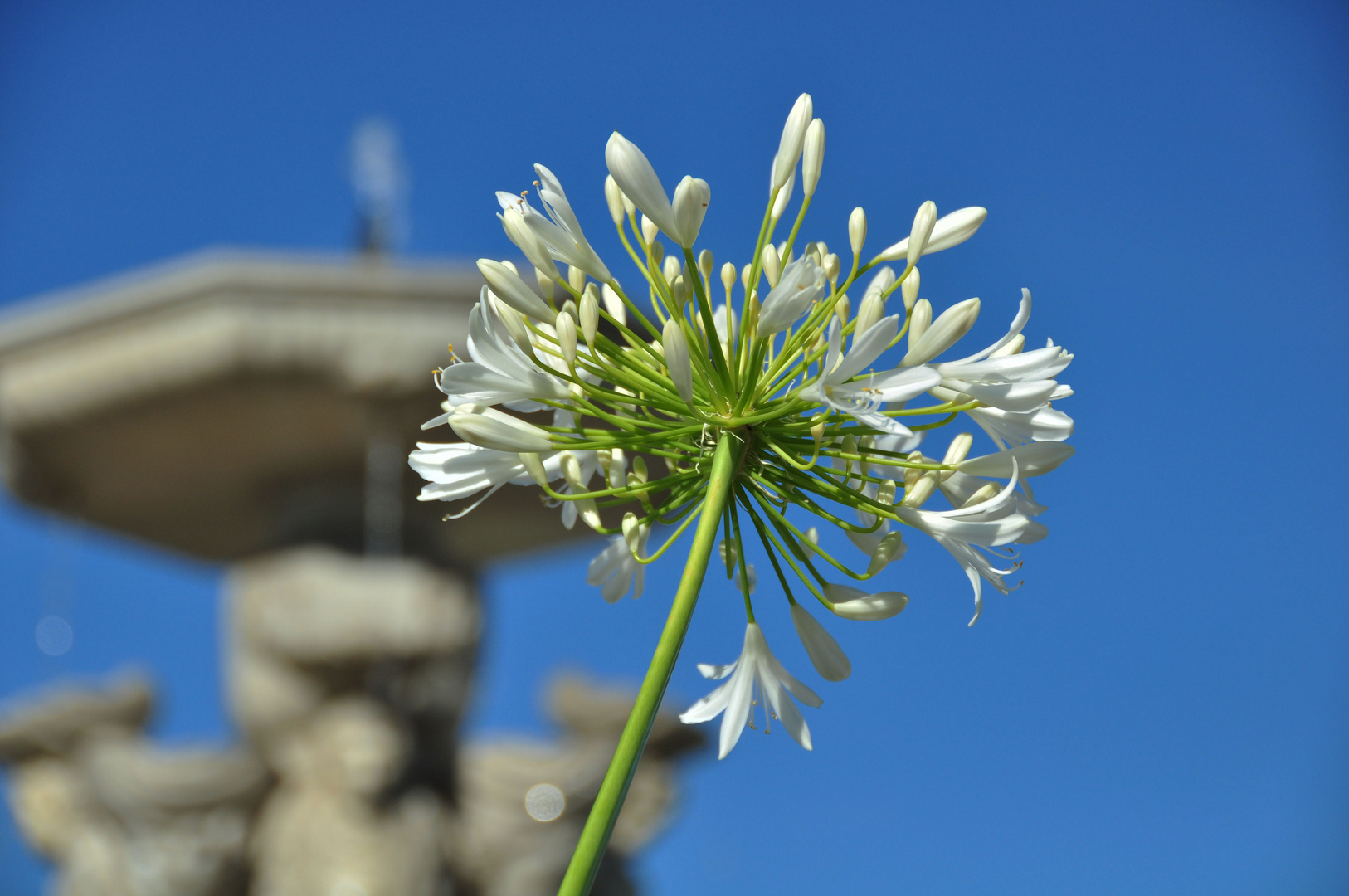 Sommer in der Stadt