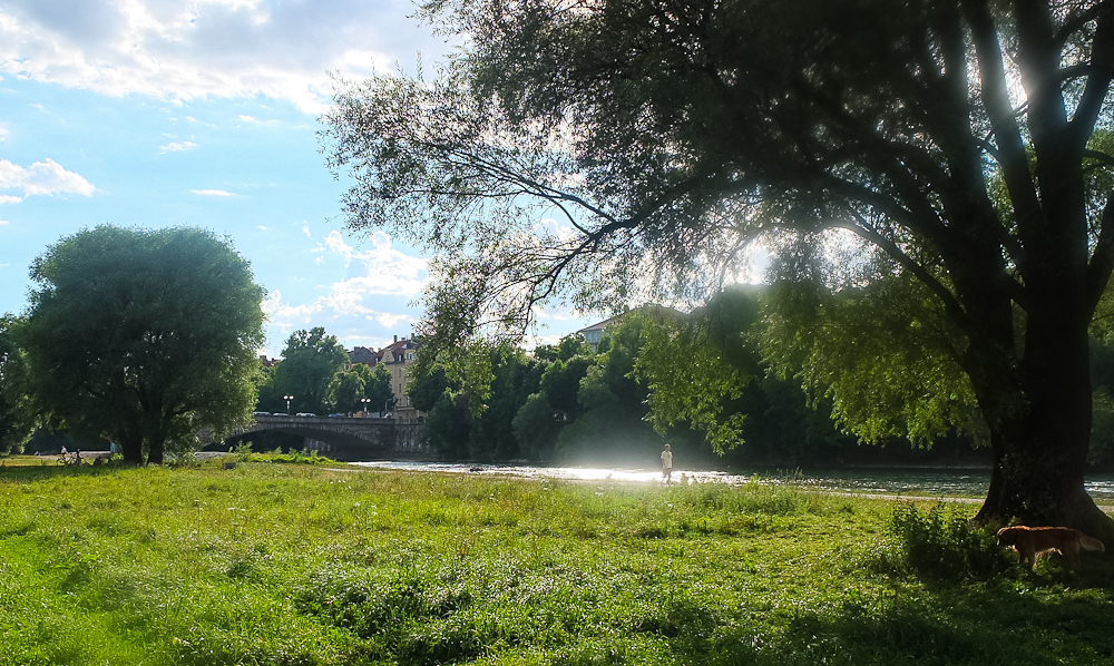 Sommer in der Stadt - 5