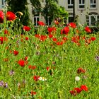 Sommer in der Stadt