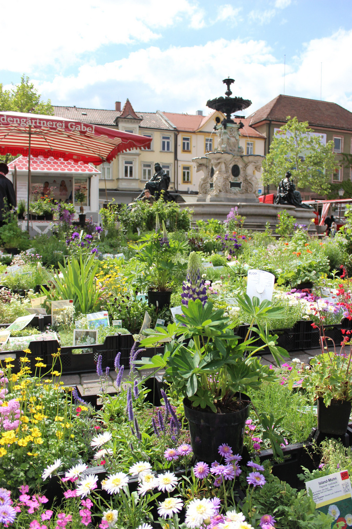 Sommer in der Stadt