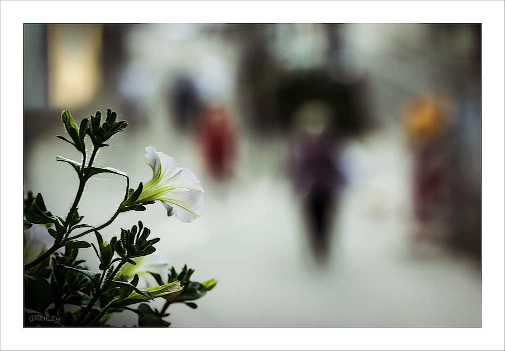 Sommer in der Stadt 