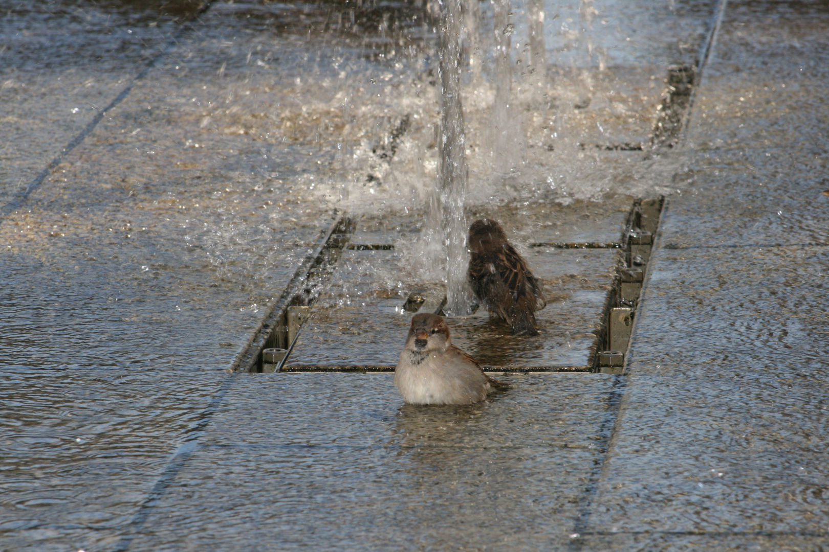 Sommer in der Stadt