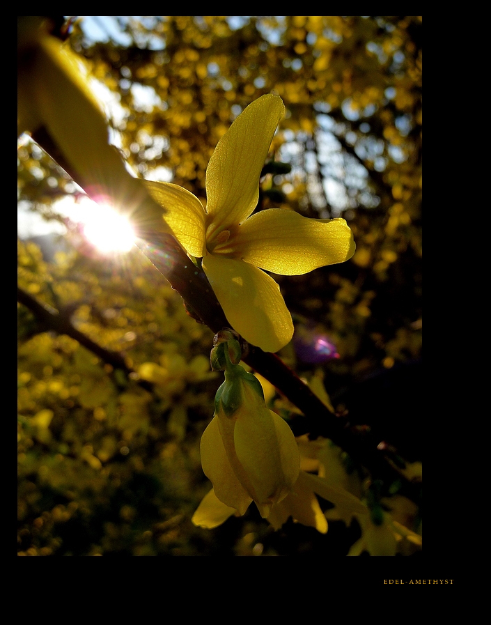 "Sommer In Der Stadt"