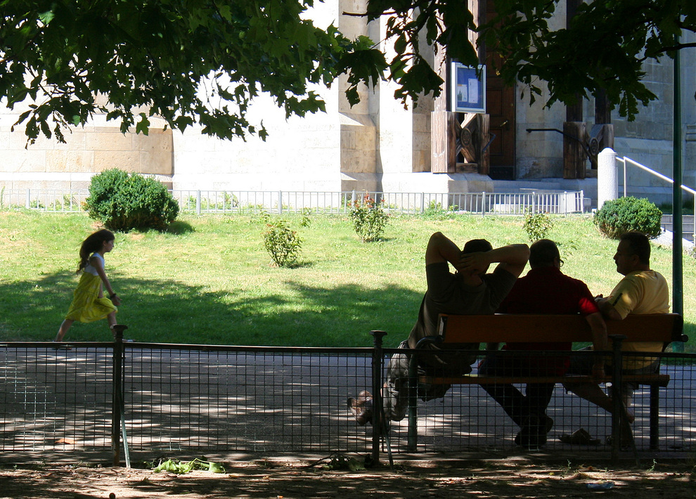 Sommer in der Stadt: am Mexikoplatz (2)