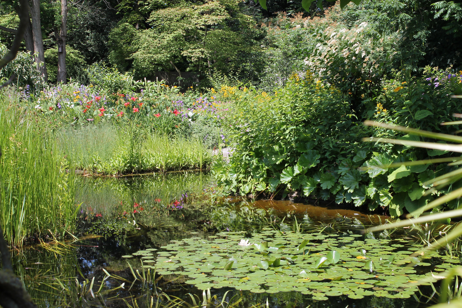 Sommer in der Stadt Park &quot;Planten un Blomen&quot; Foto &amp; Bild