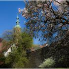 Sommer in der Stadt....oder ....