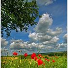 Sommer in der Südwestpfalz