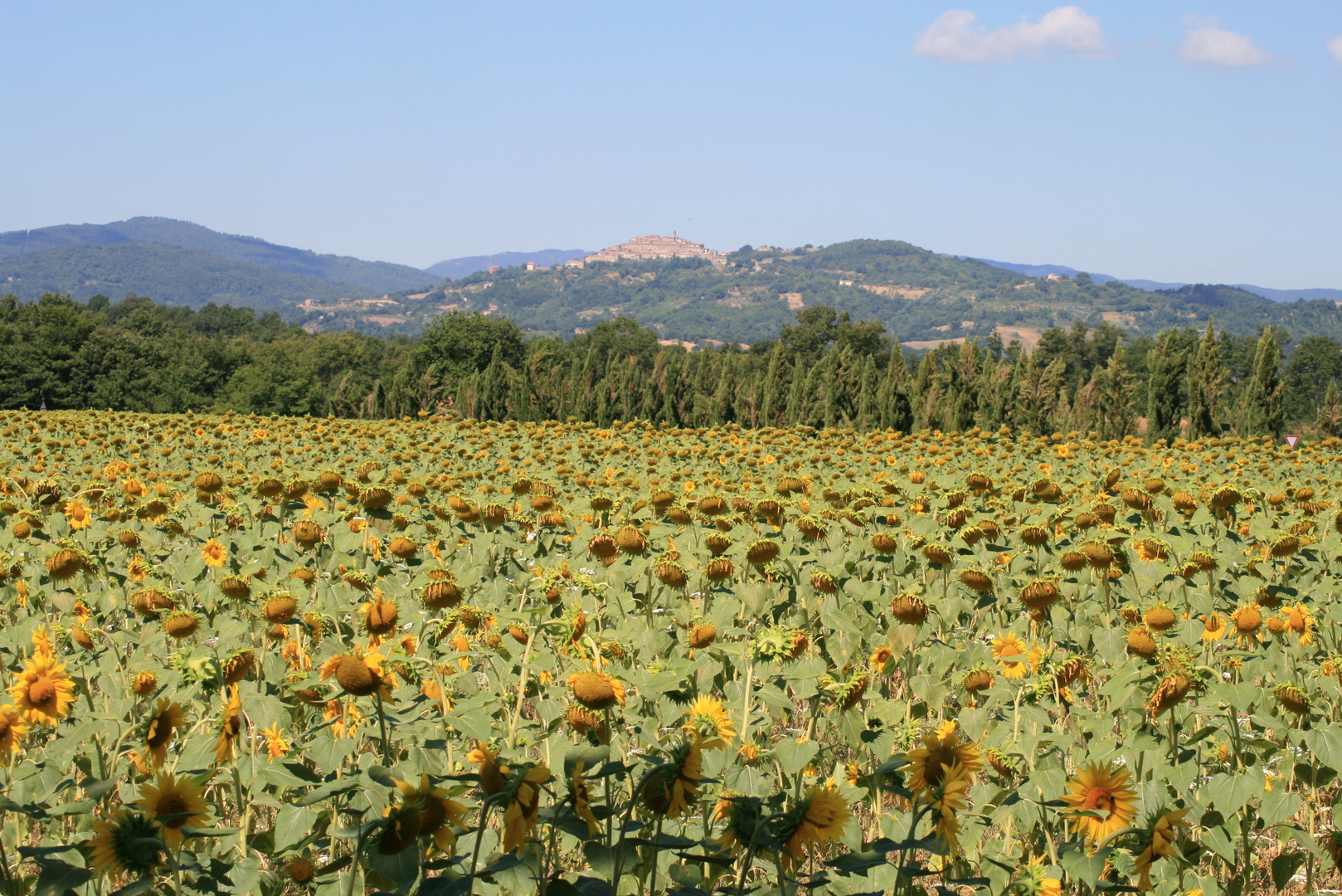 Sommer in der Toscana...