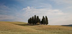 Sommer in der Toskana