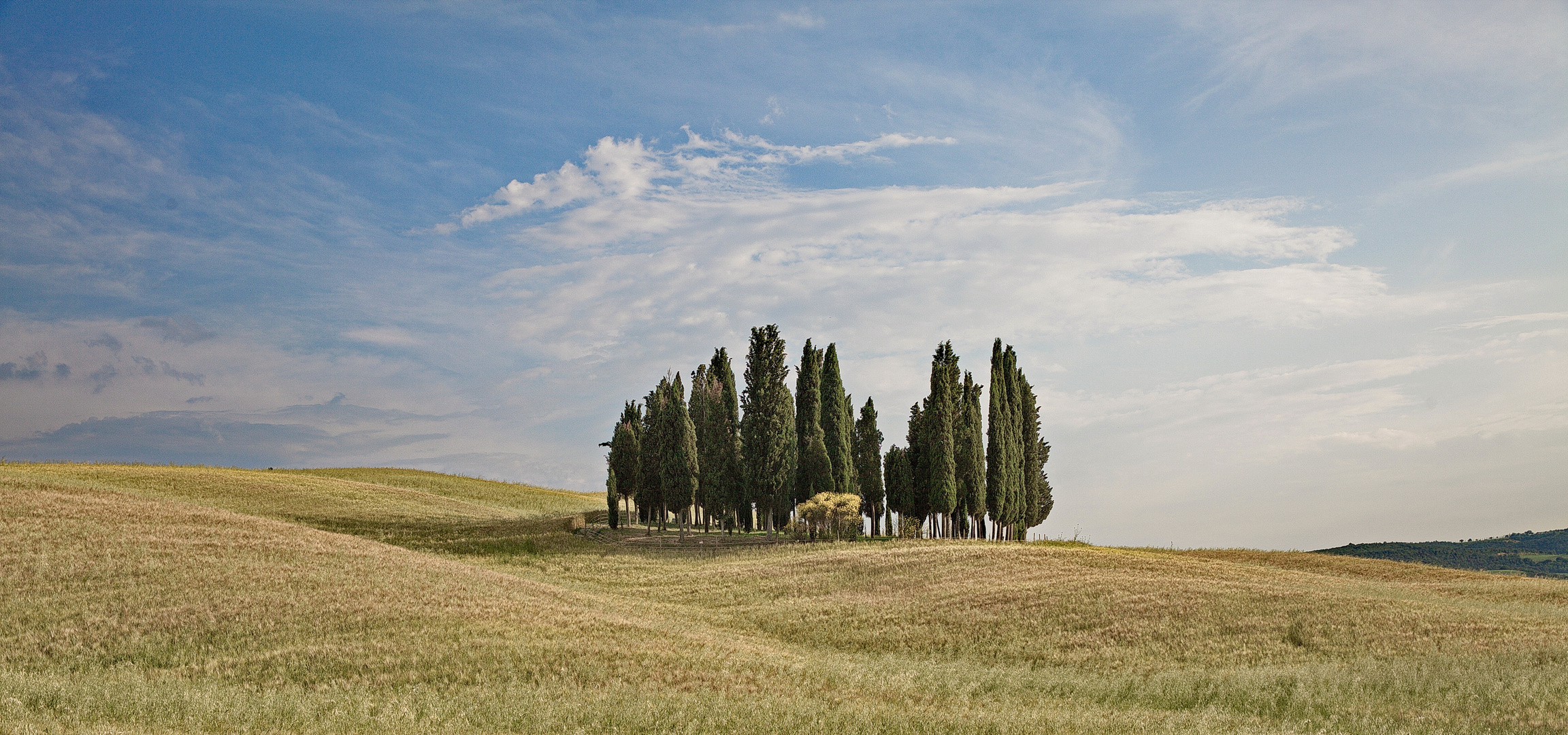 Sommer in der Toskana