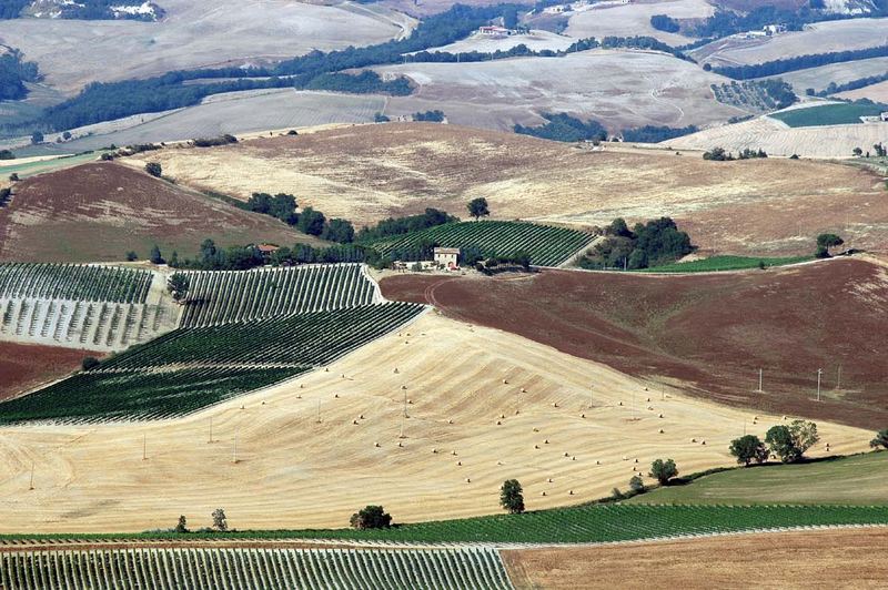 Sommer in der Toskana (Montalcino)