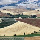 Sommer in der Toskana (Montalcino)