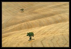 Sommer in der Toskana_01