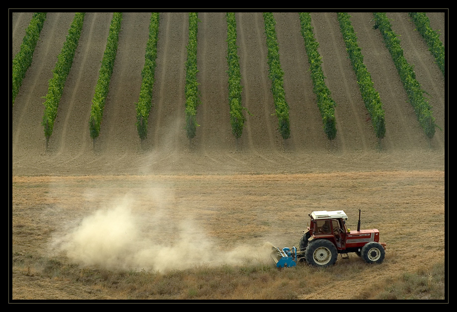 Sommer in der Toskana_02