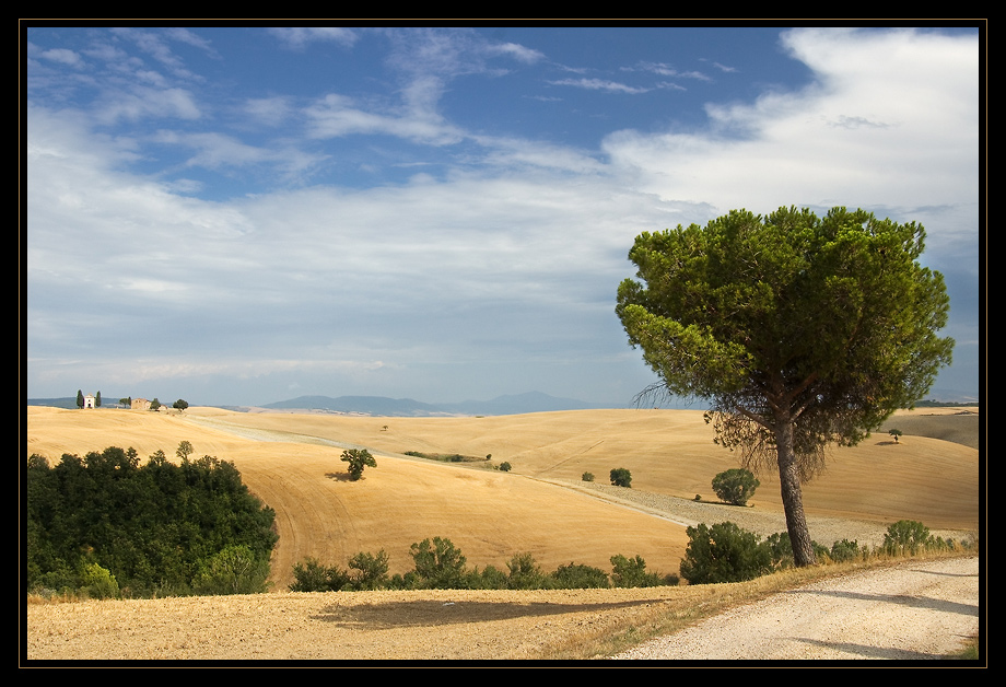 Sommer in der Toskana_09