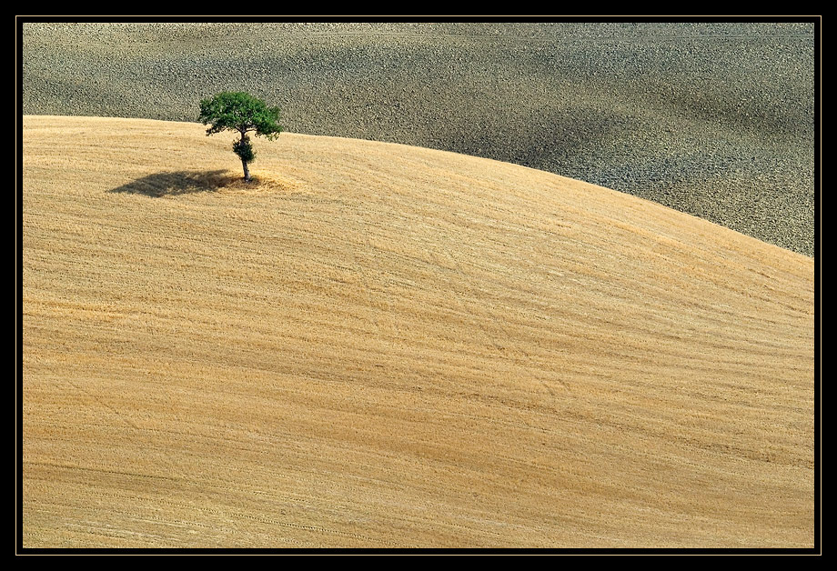 Sommer in der Toskana_14