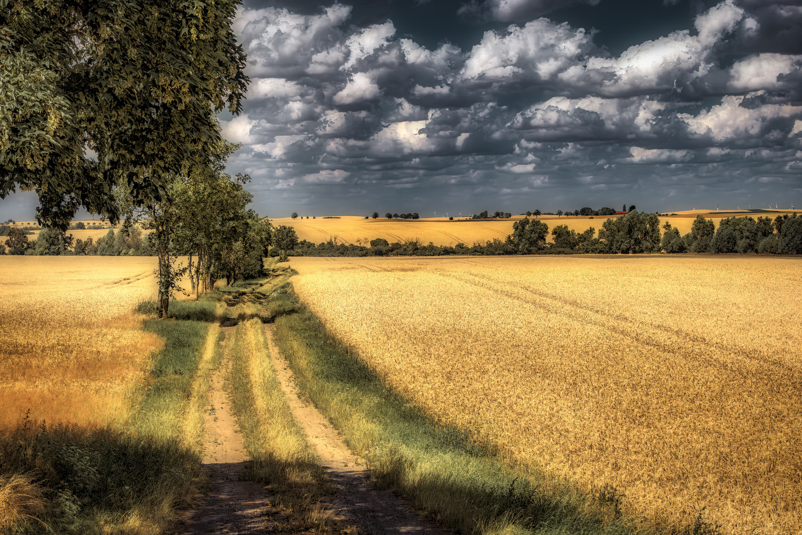 Sommer in der Uckermark