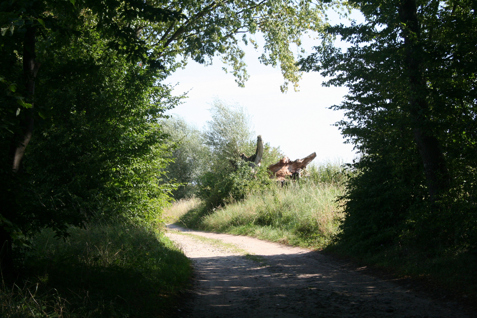 Sommer in der Uckermark