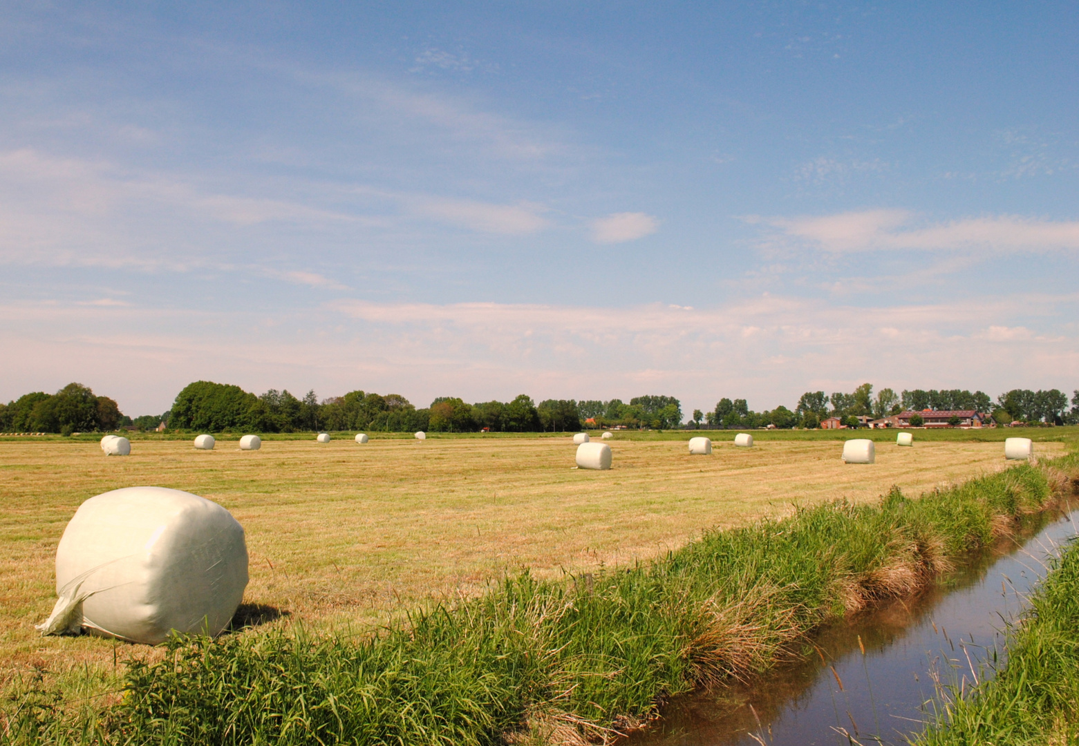 Sommer in der Wesermarsch