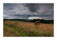 Sommer in Deutschland