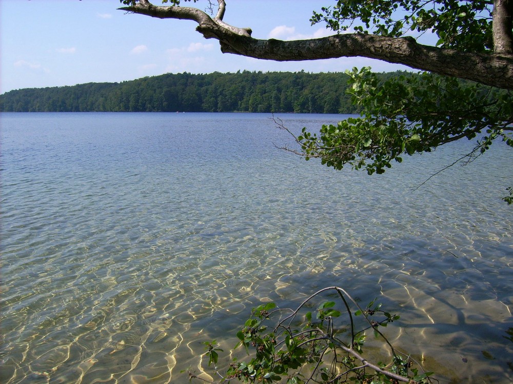 Sommer ..... in diesem Jahr