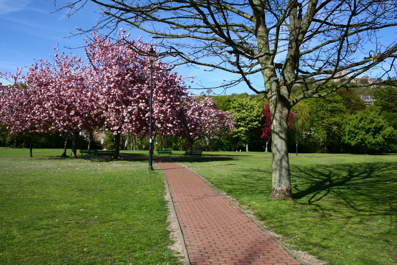 Sommer in Dover