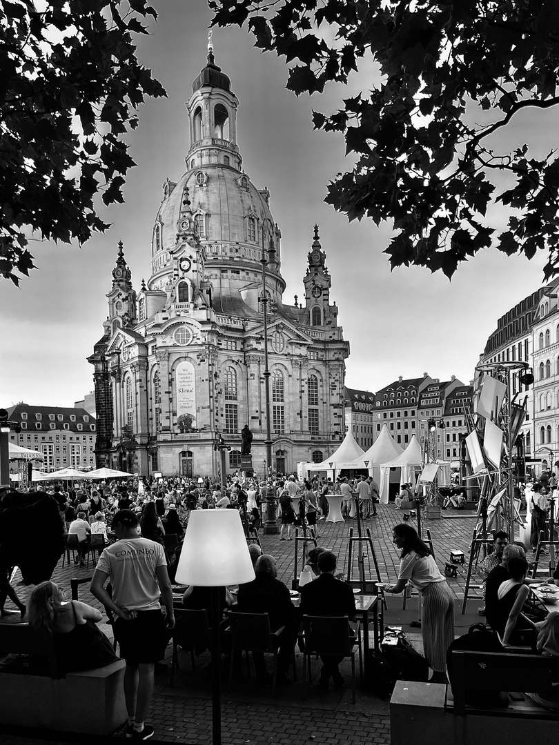 Sommer in Dresden