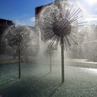 Sommer in Dresden