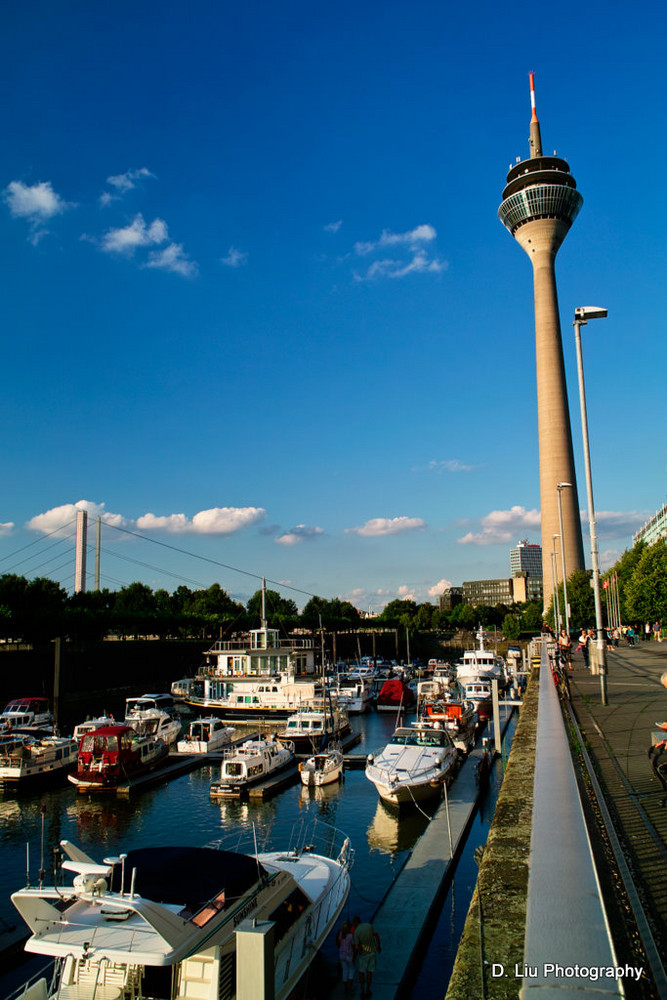 Sommer in Düsseldorf 3